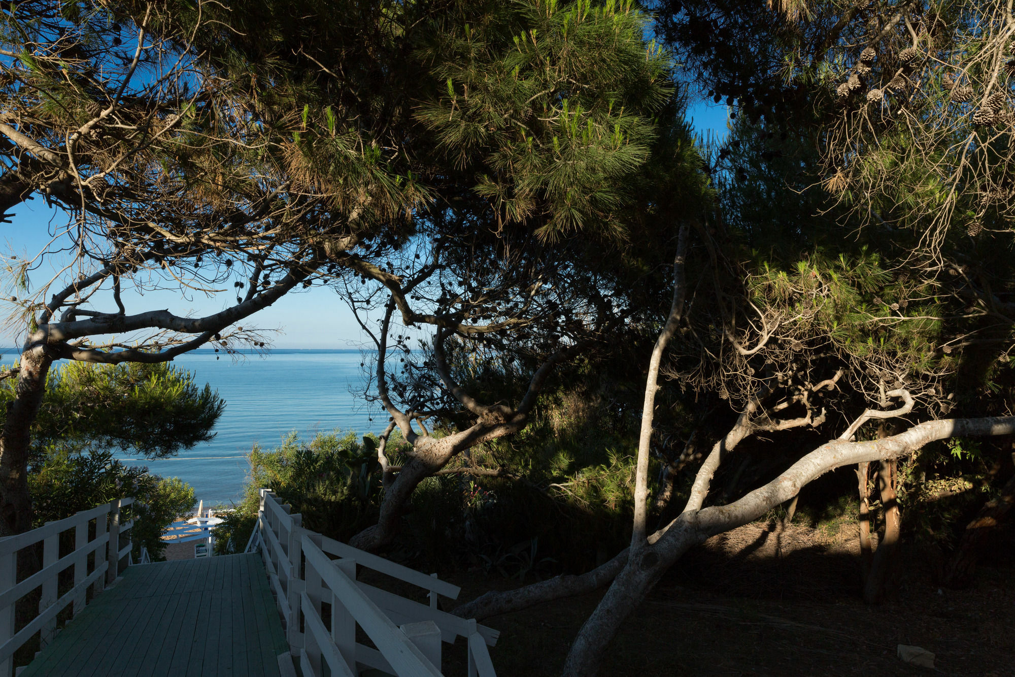 Hotel Riviera Marinella di Selinunte Dış mekan fotoğraf